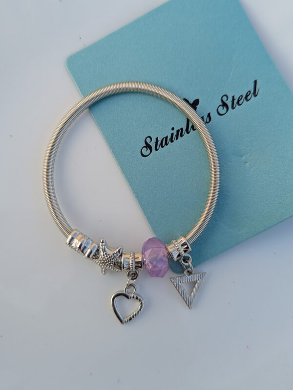 Stainless steel _ adjustable charms bracelet