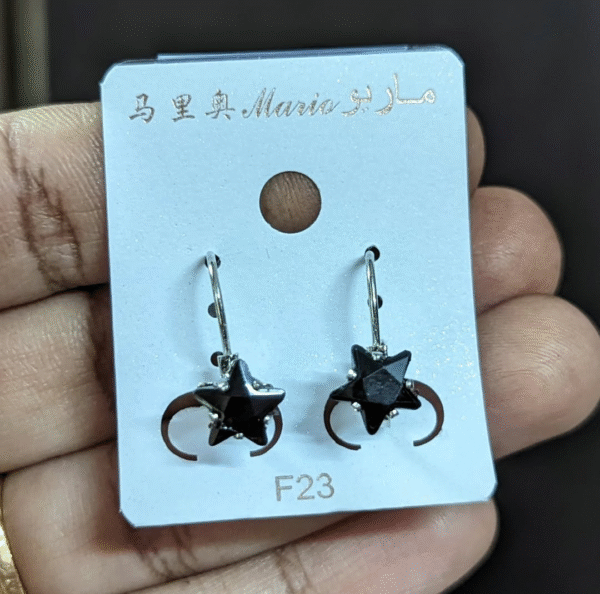 Black Star Stone Leverback Earring