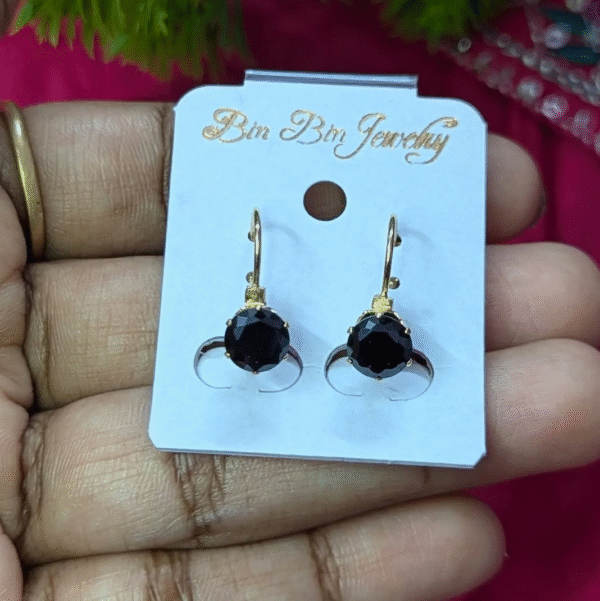 Stone Leverback Earring