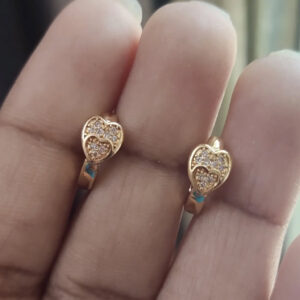 Gold Look Alike Earring_Anti Tarnish
