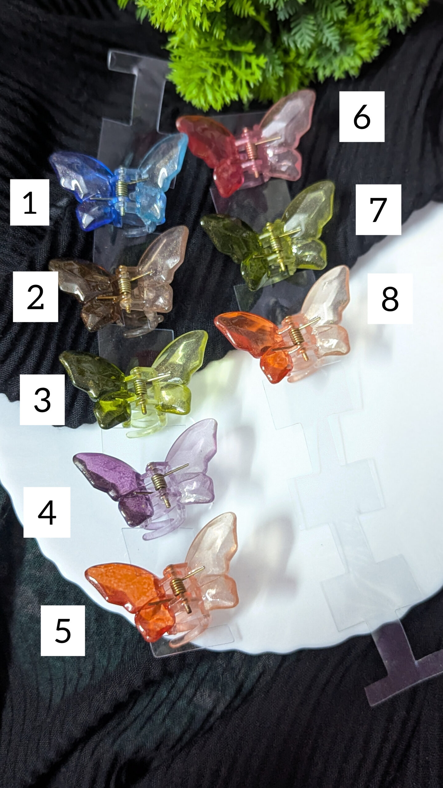 Butterfly claw_Small size