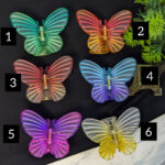 Dual Color Butterfly Claws