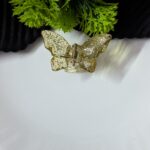 Butterfly Claws_Small Size