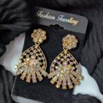 Party Wear Earring