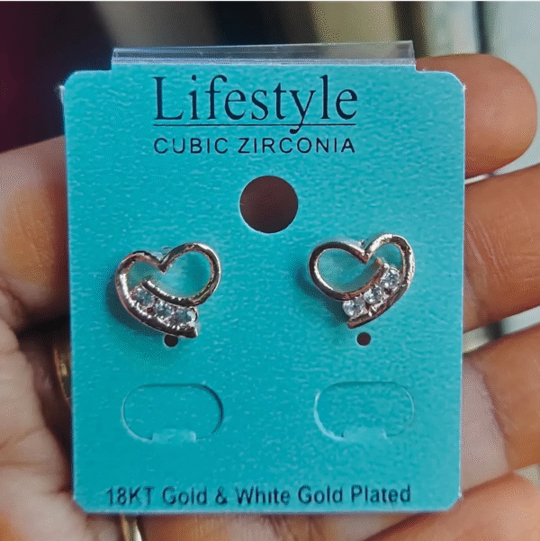 Lifestyle Earring_Anti Tarnish