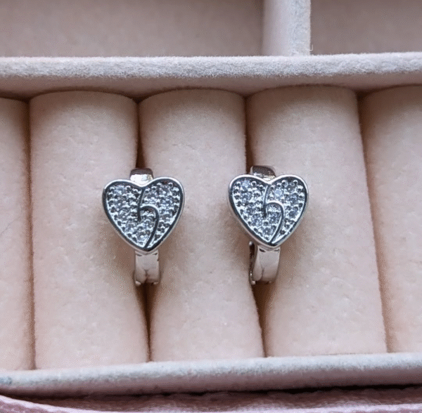 Silver Hoop Anti-Tarnish Earrings
