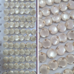 Botton Studs