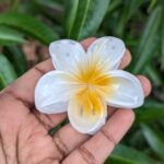 Floral Medium Hair Claws