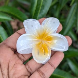 Floral Medium Hair Claws