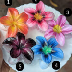 Pinterest Hair Claws