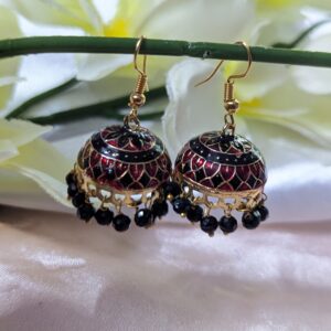 Meenakari Hook Earring - Big to Medium Size