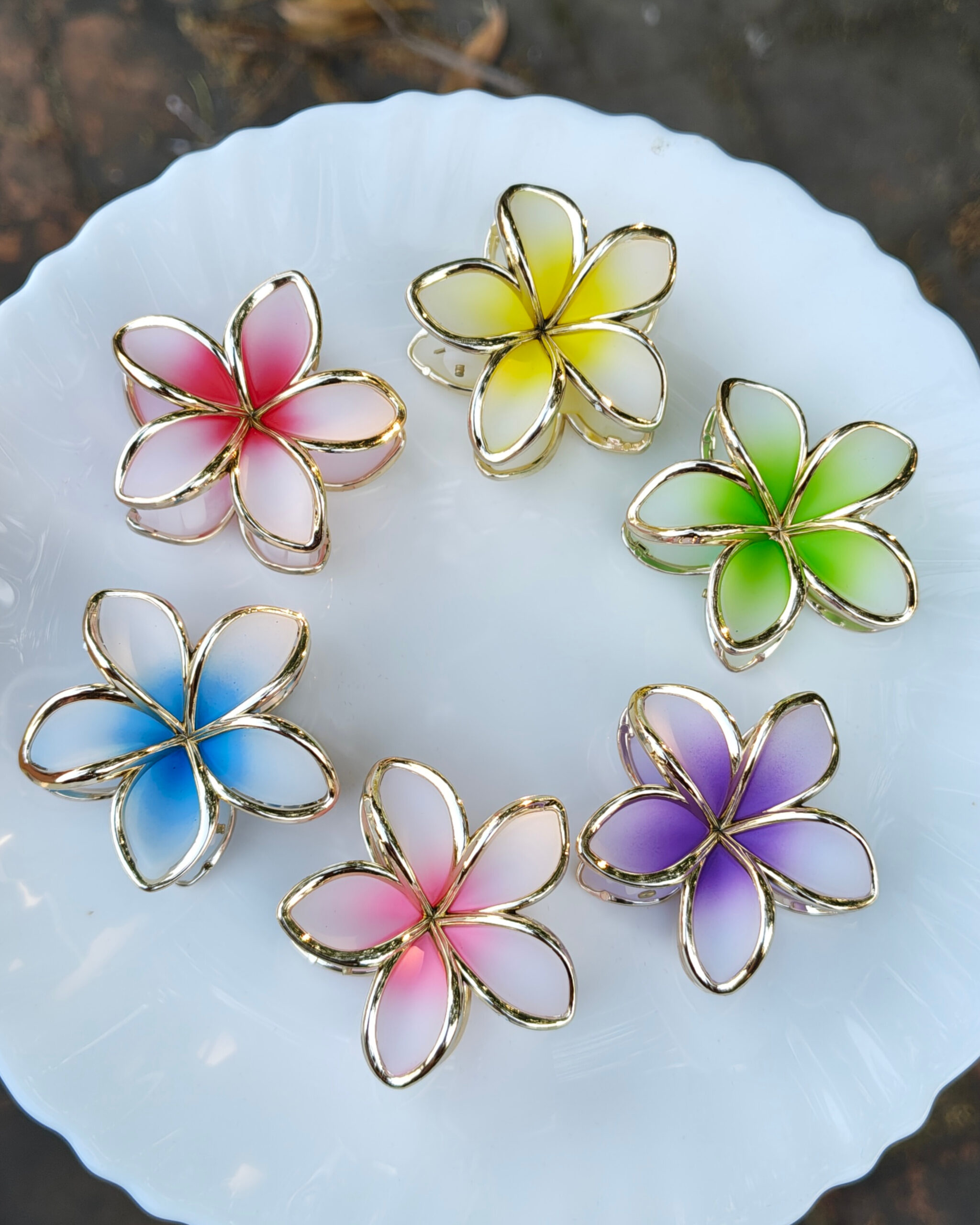 InShot_20260209_201036298