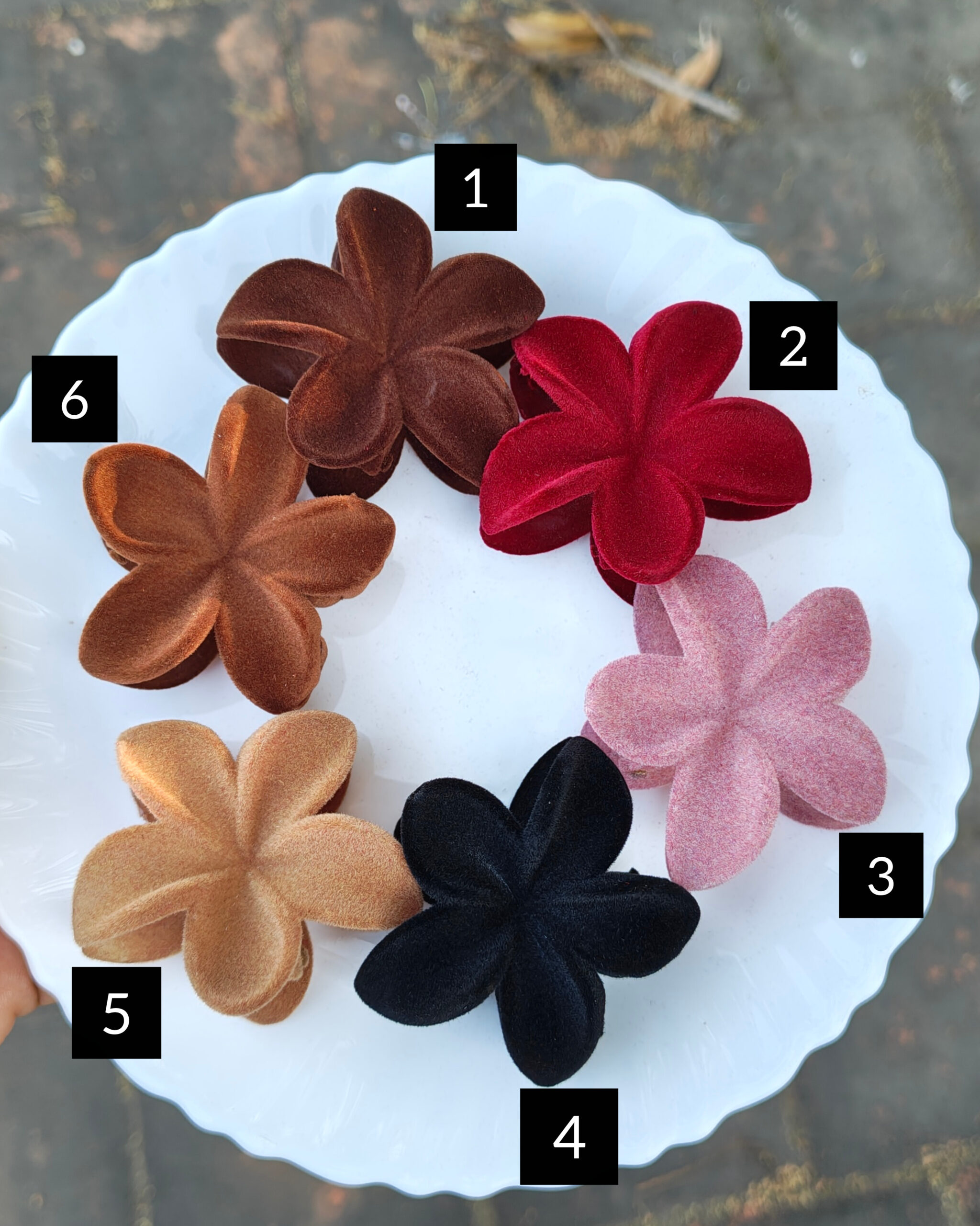 InShot_20260209_201238039